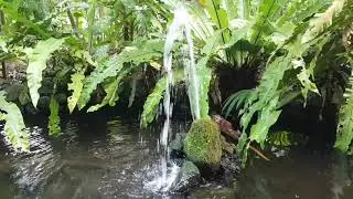 Reduce Your Stress with Sound of Waters #shorts #water