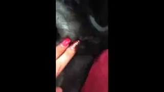 Micro penis