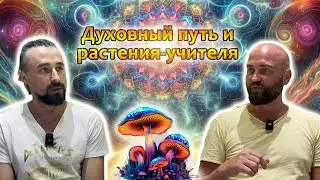 Духовный путь и Психоделики