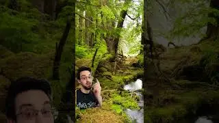 Shifting Baseline Sydrome in action #nature #science #education #climatechange #farming #shorts