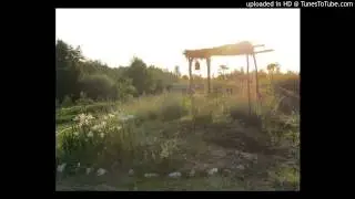 Joe Reilly - Little Tomato