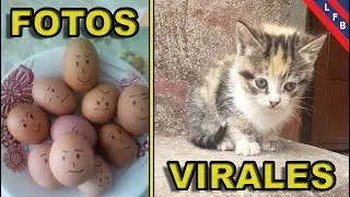 FOTOS VIRALES