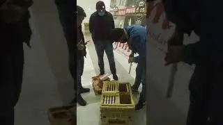 тошкент области охангарон шахрида дуконимиздан лавха