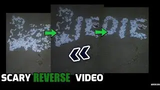 Amazing! Scary REVERSE Video | You Will Scare after You Watch This Video.
