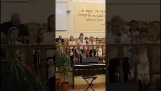 Звёздочка милая