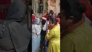 Shri Radha Damodar Bhagwan Vrindavan dham 🌼
