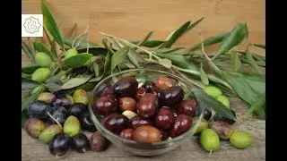 Olive Preserve - Chef Ana Lemgruber (2021)