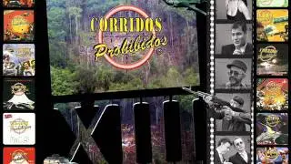 EL LAPTOP  / GRUPO MEZCAL