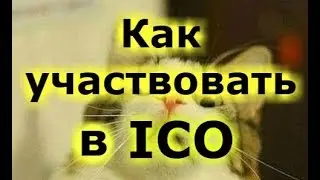 Пошаговое руководство по участию в ico, от начала до конца. Для чайников!