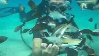Scuba diving - Thassos