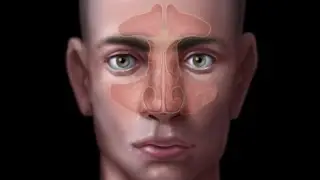 Nasal cavity