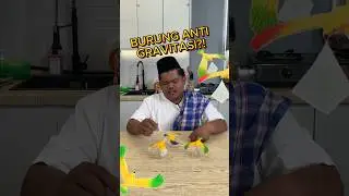 Ah masa iye ada burung anti jatoh 🧐
