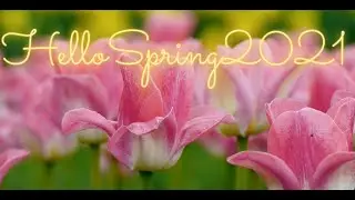 🌼HELLO SPRING 2021🌼🌼 MUSIC MIX PLAYLIST  RELAX 🔥 RELAX SPRING MUSIC MIX