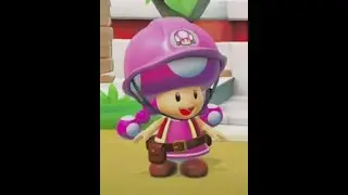 The most difficult level on Super Mario Maker 2.. .  .. .. .. . ..
