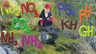 Тест воды в пруду/Тесты НИЛПА/Прозрачная вода в пруду/Пруд своими руками