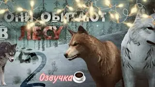 Озвучка сериала 