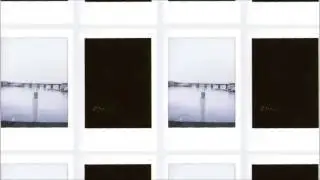 one afternoon i saw a seagull