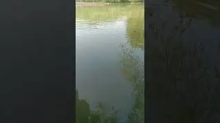 mandi di sungai #sungai