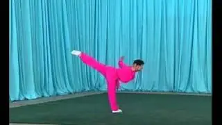Compulsory Chang Quan #2 - Forma oficial Standard de Wushu moderno