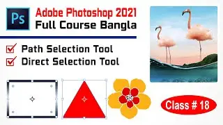 How to use path selection tool in photoshop | How to use direct selection tool - Class 18
