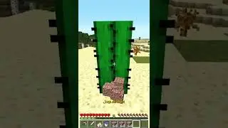 EU E MEU AMIGO NO MINECRAFT COM UM CACTO 
