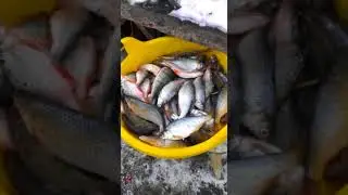 Озеро Мостовое
