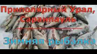 Зимняя рыбалка на приполярном урале, Саранпауль 2021.