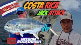 Angeln in Costa Rica Mission Roosterfisch Jack Attack