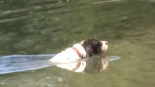 Snoop Water Retrieves