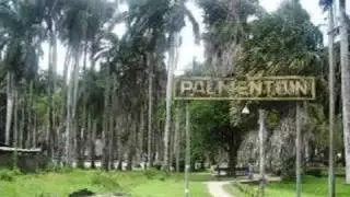 Papa Touwtjie - Gangster (Sranan/Suriname)