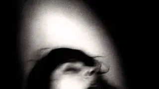 Set Fire to Flames - Your Guts are Like Mine