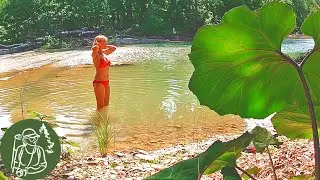 🪓 3-day Solo Hike with an Overnight Stay on a River Island 🔥 Forest guests 🌲 Tree bed ► Episode 2