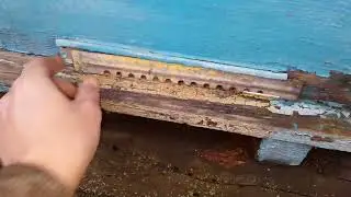 Скоро зима,прикрываю летки...