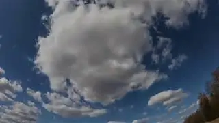 виртуальный бег по лесу на самоизоляции)))