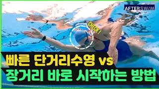 장거리수영 숨안차게 잘하고 싶나요? 스프린터 단거리수영 꿀팁까지