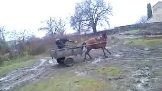 shildis yvelaze popularuli drifti sisina  D