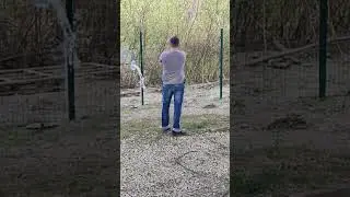 Оса ys Канистра