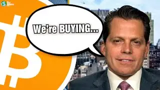 Scaramucci: Institutions Are Buying Bitcoin!