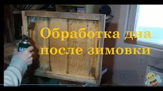 Обработка дна улья
