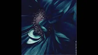 Aempoppin - Zen