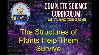 Plant Structures Help Them Survive