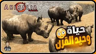 محاكي الحيوانات - حياة وحيد القرن Animalia survival (1#)