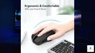 Review - TECKNET Wireless Mouse, 2.4G Ergonomic Optical Mouse, Computer Mouse for Laptop,