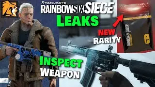 WEAPON INSPECT in R6 Siege! (R6 Leaks Y9S3 Y9S4)