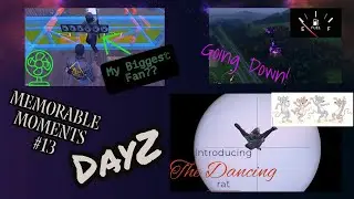 Memorable Moments in DayZ #13