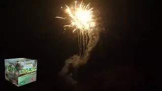 Lecana - OAZA 16s