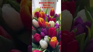 С 8 МАРТА !!! То студии камня cactus