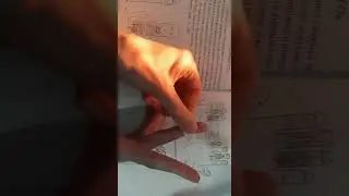 Су джок Семянотерапия🌱 при боли в плече. 