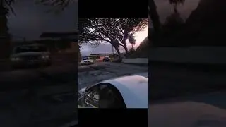 the cop from Tokyo