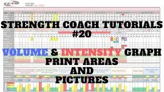 Annual Plan #6 - Logos, Print Area, & Volume Intensity Area Graph. SCT # 20 | DSMStrength